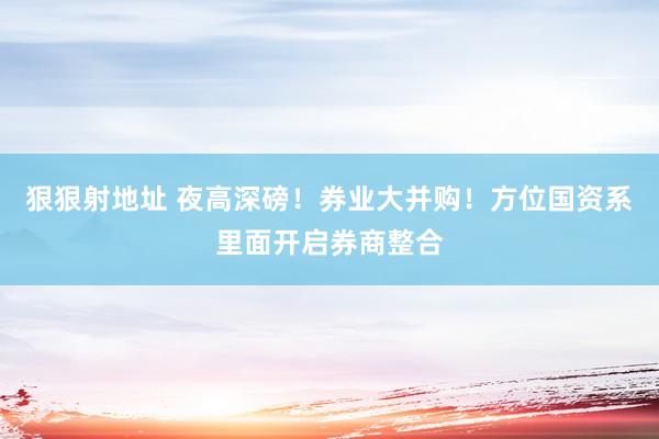 狠狠射地址 夜高深磅！券业大并购！方位国资系里面开启券商整合