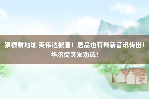 狠狠射地址 英伟达被查！居品也有最新音讯传出！华尔街突发劝诫！