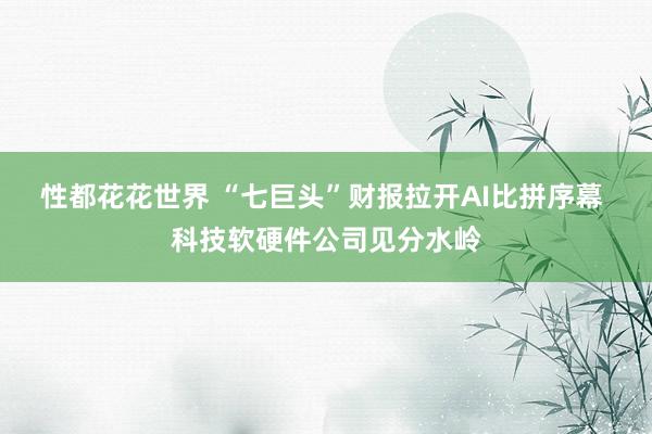 性都花花世界 “七巨头”财报拉开AI比拼序幕 科技软硬件公司见分水岭