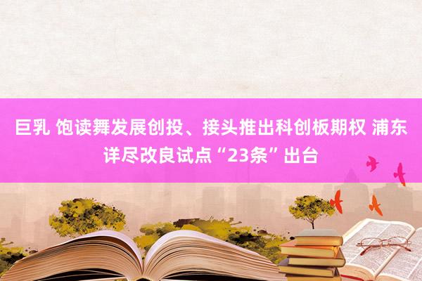 巨乳 饱读舞发展创投、接头推出科创板期权 浦东详尽改良试点“23条”出台