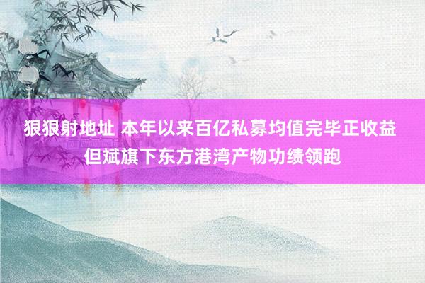 狠狠射地址 本年以来百亿私募均值完毕正收益 但斌旗下东方港湾产物功绩领跑