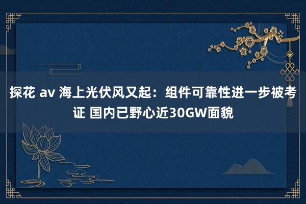 探花 av 海上光伏风又起：组件可靠性进一步被考证 国内已野心近30GW面貌