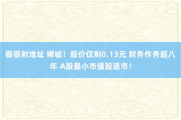狠狠射地址 唏嘘！股价仅剩0.13元 财务作秀超八年 A股最小市值股退市！