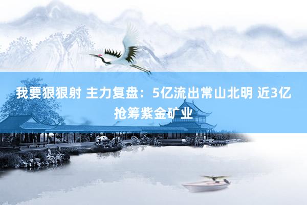 我要狠狠射 主力复盘：5亿流出常山北明 近3亿抢筹紫金矿业