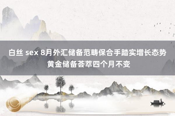白丝 sex 8月外汇储备范畴保合手踏实增长态势 黄金储备荟萃四个月不变