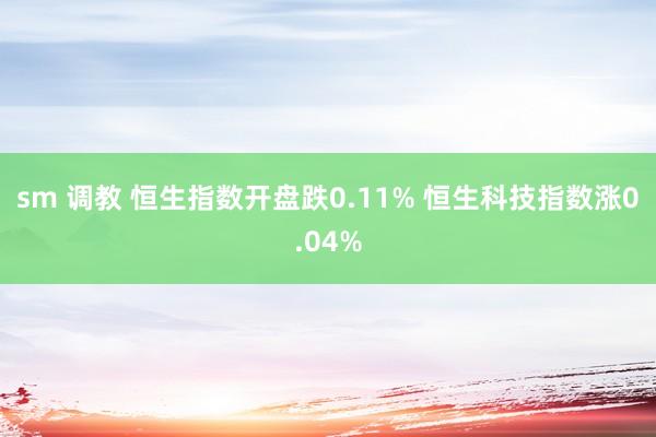 sm 调教 恒生指数开盘跌0.11% 恒生科技指数涨0.04%