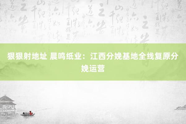 狠狠射地址 晨鸣纸业：江西分娩基地全线复原分娩运营