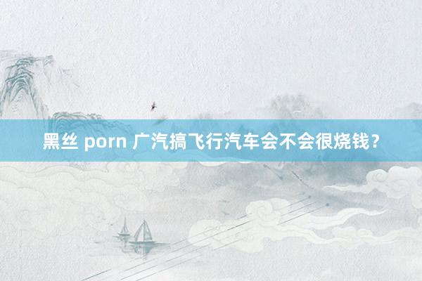 黑丝 porn 广汽搞飞行汽车会不会很烧钱？