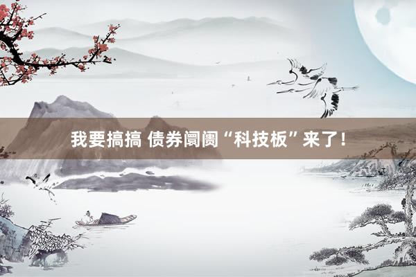 我要搞搞 债券阛阓“科技板”来了！