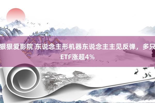 狠狠爱影院 东说念主形机器东说念主主见反弹，多只ETF涨超4%