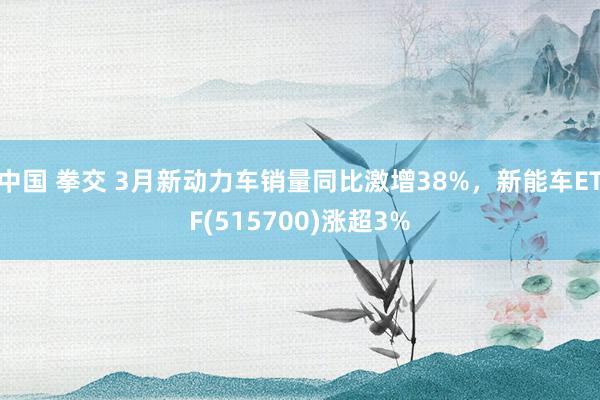 中国 拳交 3月新动力车销量同比激增38%，新能车ETF(515700)涨超3%