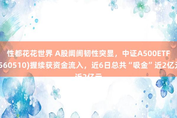 性都花花世界 A股阛阓韧性突显，中证A500ETF(560510)握续获资金流入，近6日总共“吸金”近2亿元