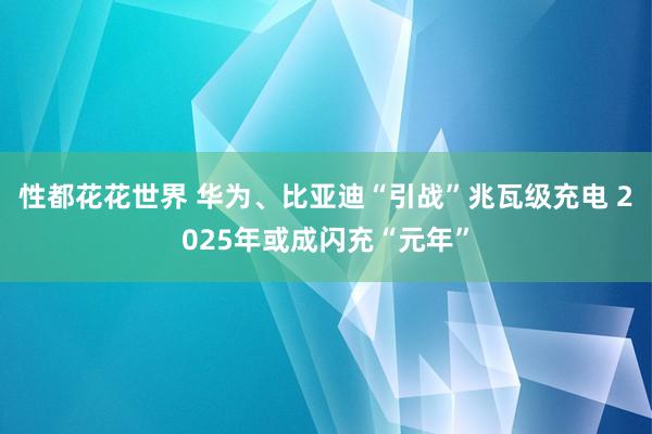 性都花花世界 华为、比亚迪“引战”兆瓦级充电 2025年或成闪充“元年”